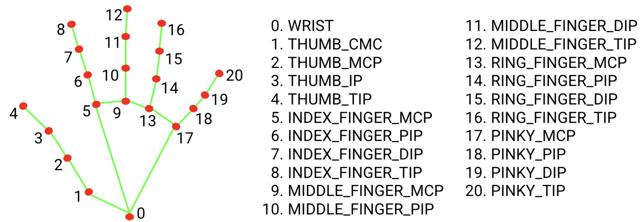 Image of hand landmarks mapping